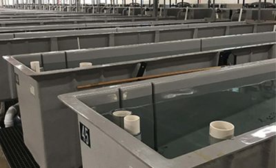 Tanques Prismáticos